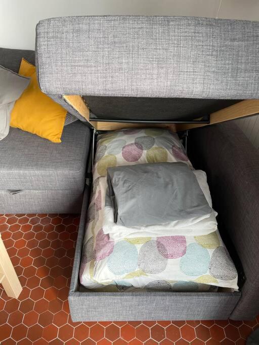 Studio Cosy Et Lumineux De 35M2 A Romagnat Apartment Luaran gambar