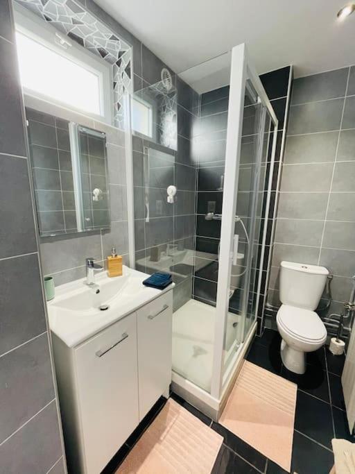 Studio Cosy Et Lumineux De 35M2 A Romagnat Apartment Luaran gambar